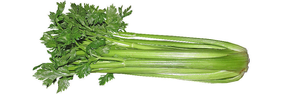 Jak vypadá řapíkatý celer?