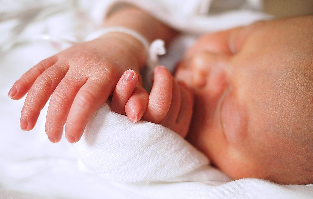 ilustrační obrázek: shutterstock.com