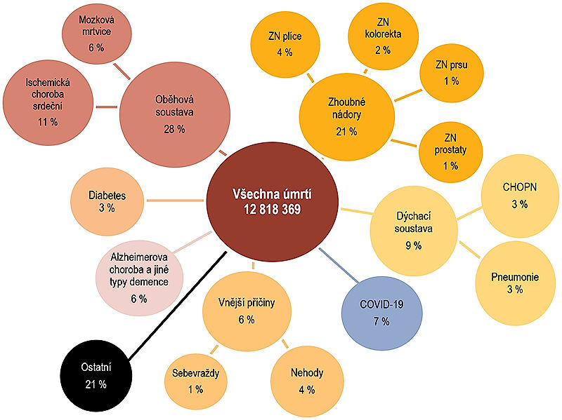 obrázek 3 k článku Zdravotní stav české populace ve srovnání se státy OECD