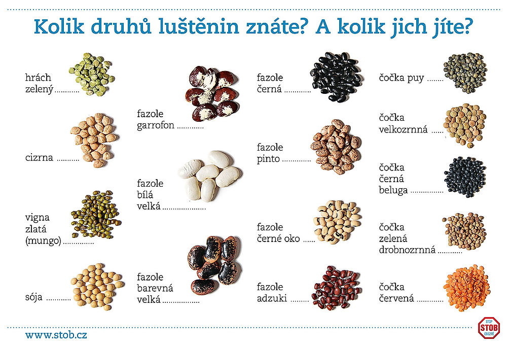 ilustrační obrázek: různé druhy luštěnin