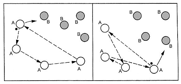 ilustrační obrázek: vylučování dotykem