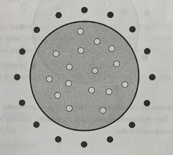 ilustrační obrázek: vybíjená dvou družstev v kruhu