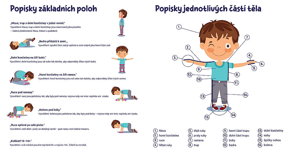 obrázek 1 k článku Sada pohybových aktivit pro zlepšení silových schopností (úvod)
