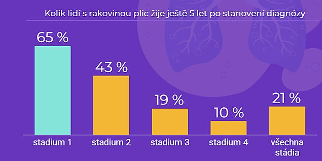 obrázek 1 k článku Jak citovat data NZIS a výstupy publikované na NZIS Open