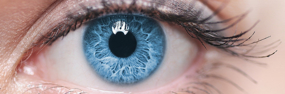 Jak vypada lidské oko?
