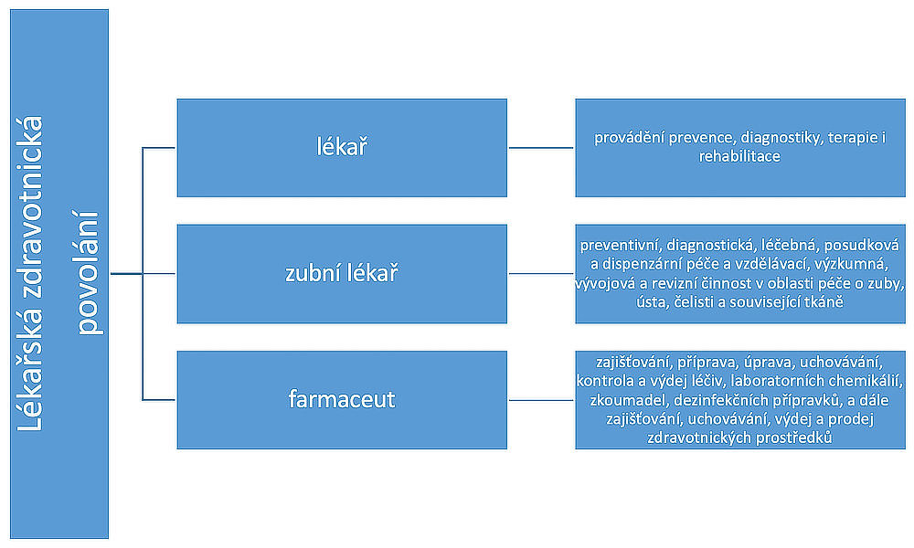 Úkolem lékaře je provádět prevenci, diagnostiku, terapii a rehabilitaci. Úkolem zubního lékaře je preventivní, diagnostická, léčebná, posudková a dispenzární péče a vzdělávací, výzkumná, vývojová a revizní činnost v oblasti péče o zuby, ústa, čelisti a související tkáně. Úkolem farmaceuta je zajišťování, příprava, úprava, uchovávání, kontrola a výdej léčiv, laboratorních chemikálií, zkoumadel, dezinfekčních přípravků, a dále zajišťování, uchovávání, výdej a prodej zdravotnických prostředků.