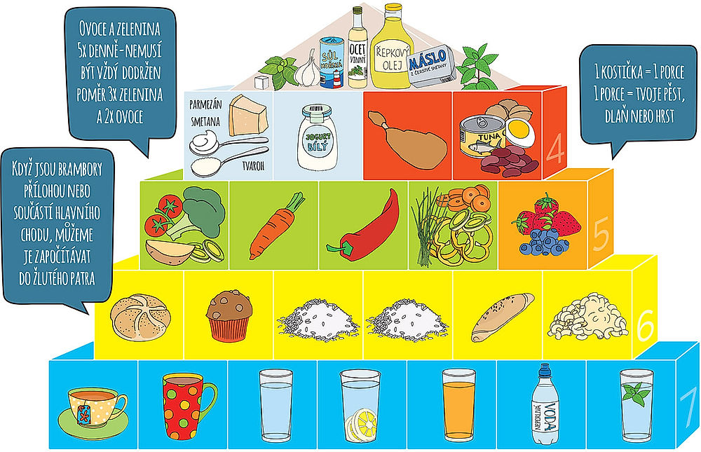 obrázek 1 k článku Potravinová pyramida v praxi